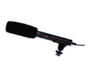 Camcorder Microphone